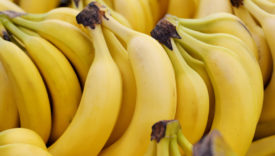 caschi di banane