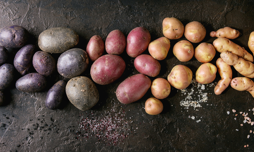 diverse varietà di patate