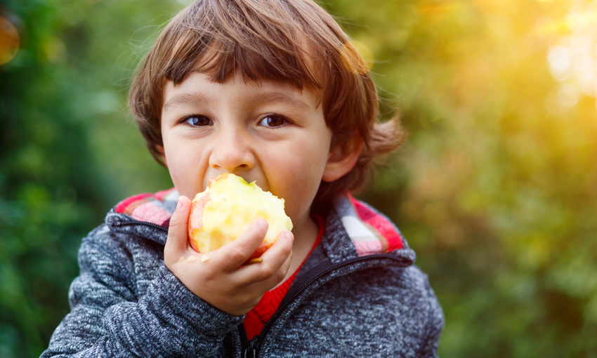 Un bambino che mangia una mela per merenda