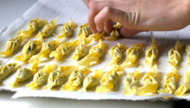 tortelli piacentini