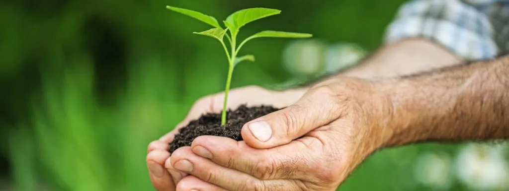 agricoltura rigenerativa