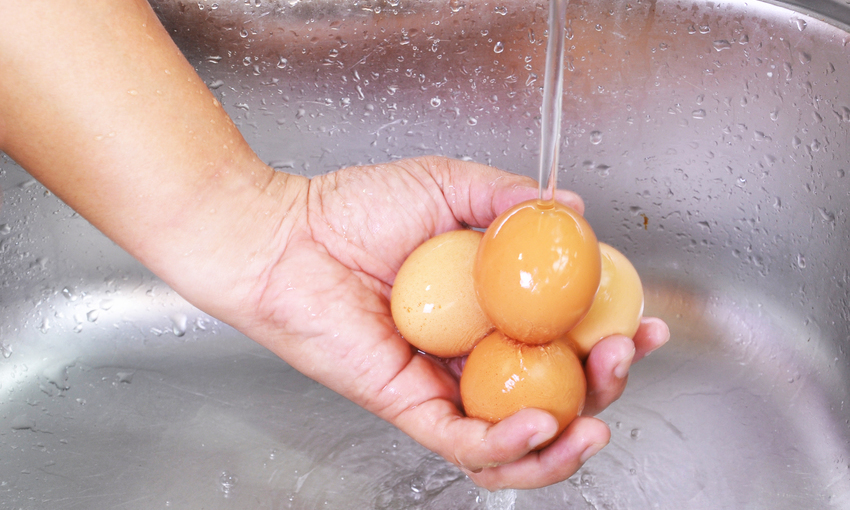 lavare guscio uova