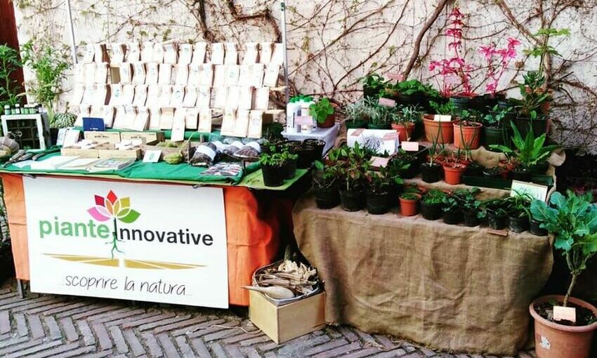 progetto piante innovative
