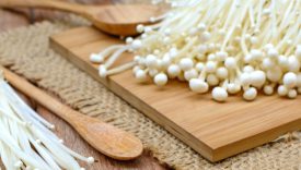 Funghi enoki