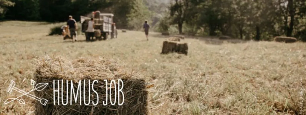 humusjob