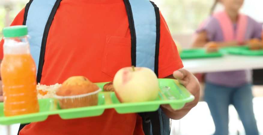 Nutriamo la scuola risultati