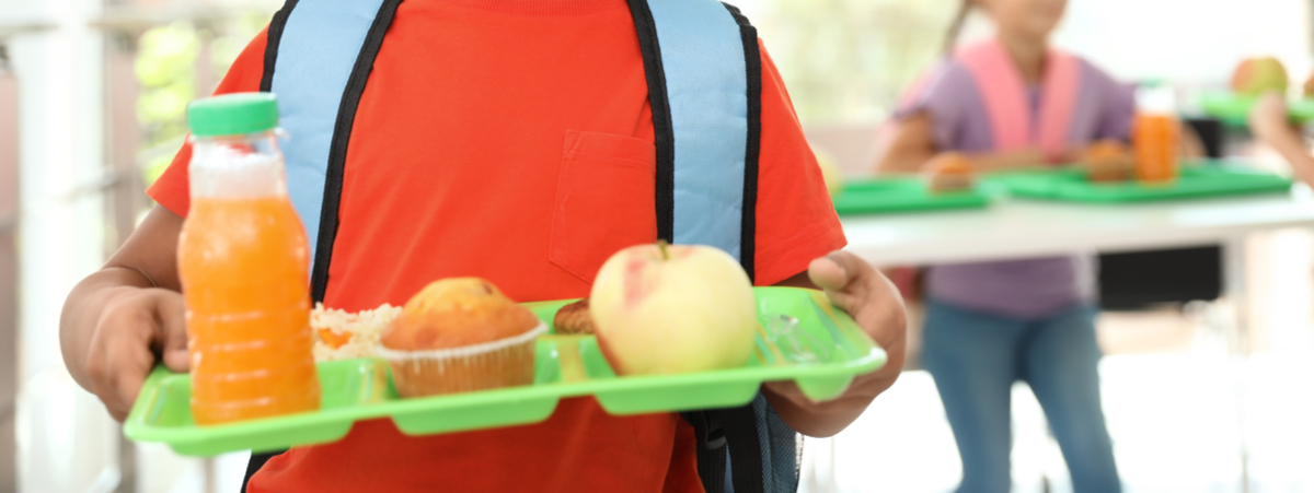 Nutriamo la scuola risultati