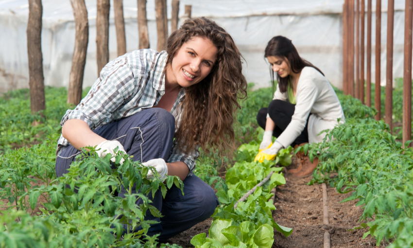 Agricoltura femminile