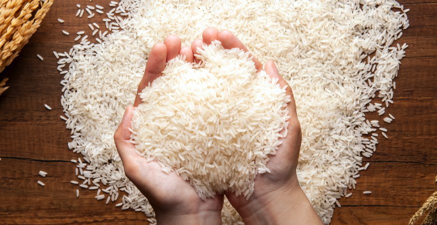 Coltivazione riso