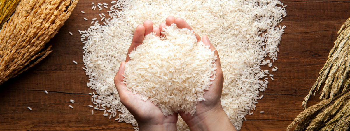 Coltivazione riso