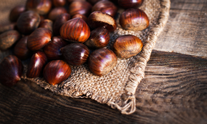 Castagne raccolta