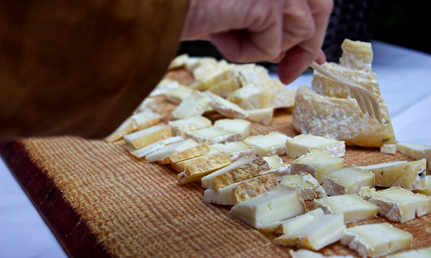 Storia e caratteristiche del formaggio piemontese Montebore