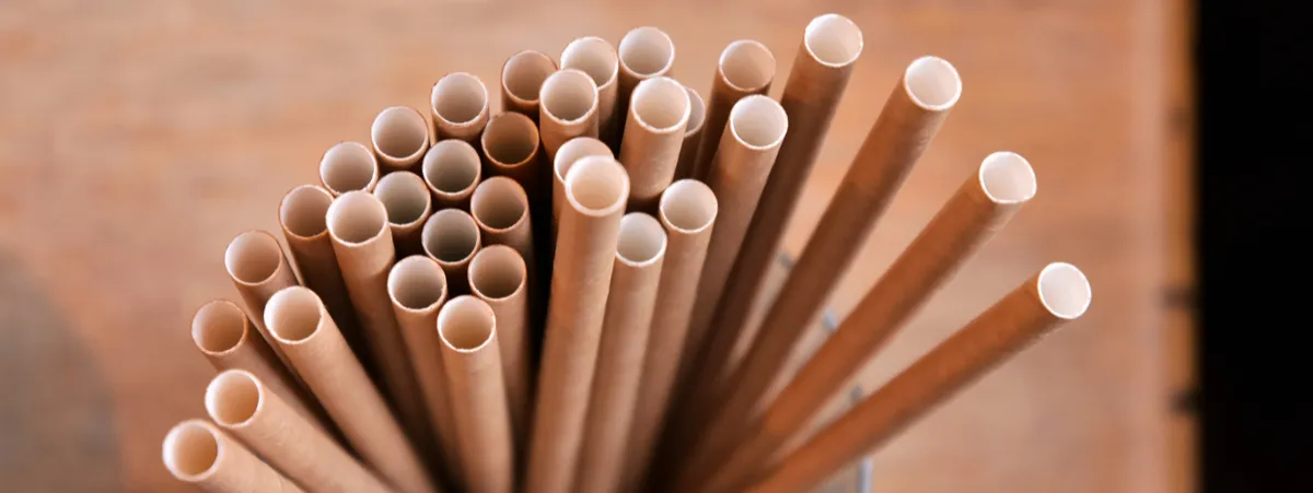 alternative alle cannucce di plastica