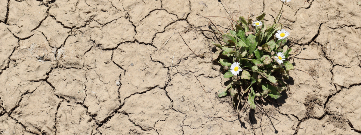 crisi climatica italia