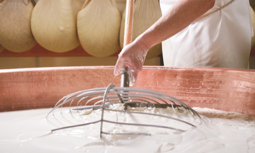 eccellenza made in italy formaggi