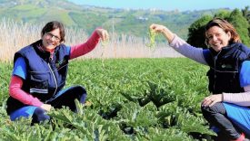 le donne dell'ortofrutta