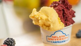 gelato carpigiani