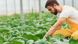 agricoltura sostenibile enpaia censis