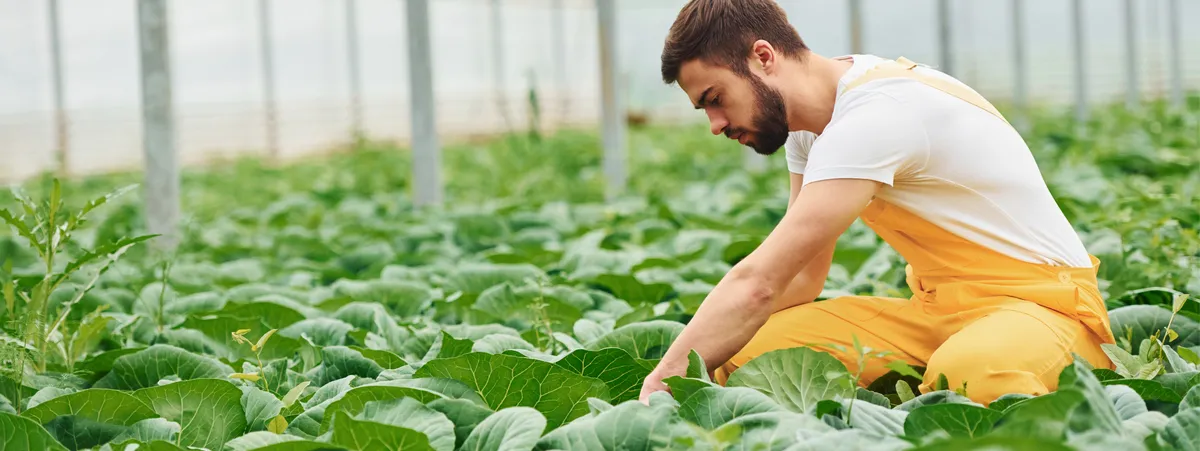 agricoltura sostenibile enpaia censis