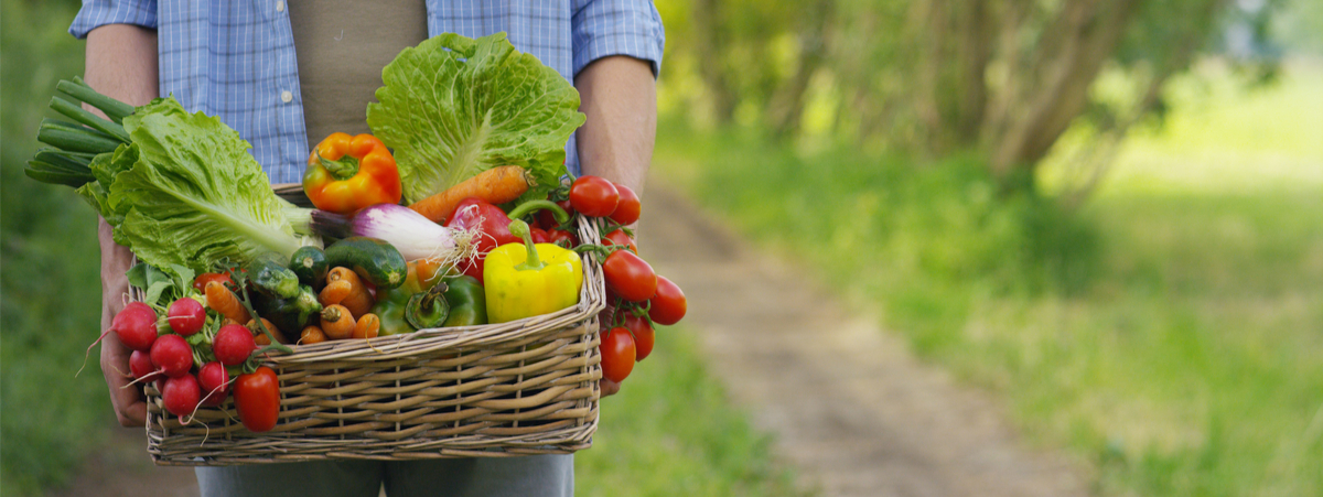 progetto dal campo alla tavola