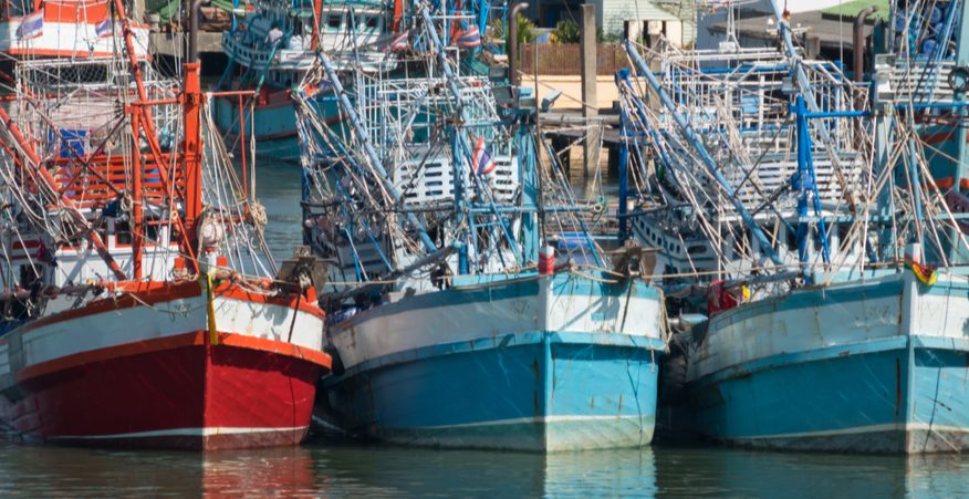 riduzione della pesca