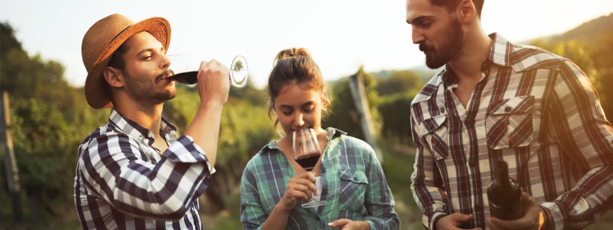winecation
