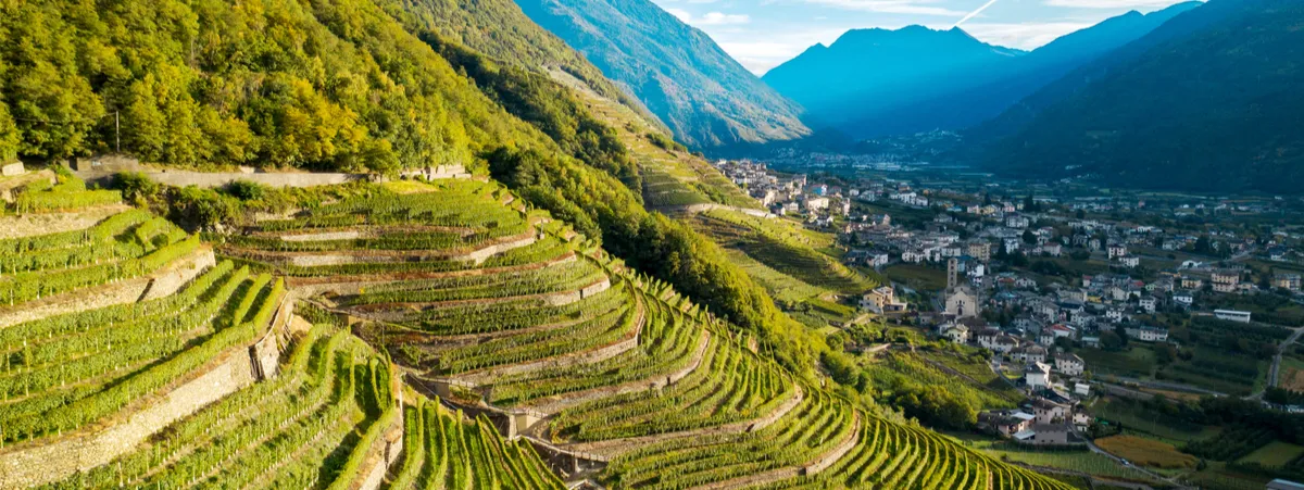 vigneti storici ed eroici