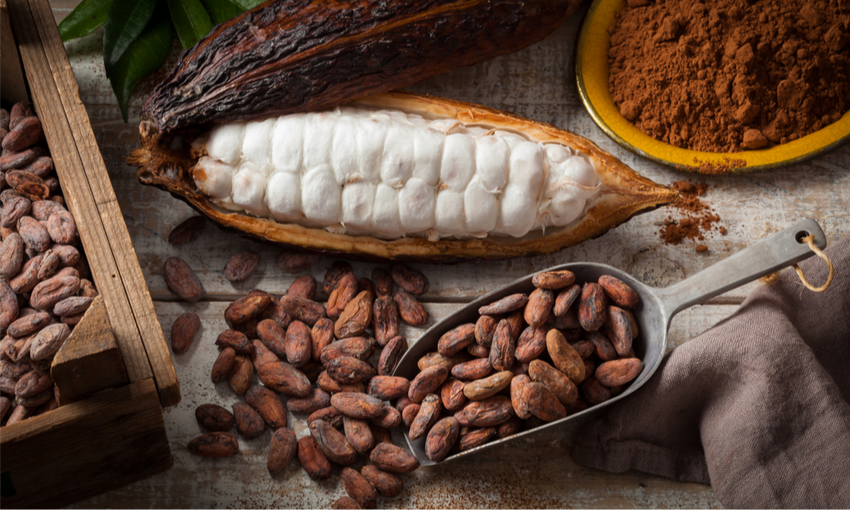 cacao frutto