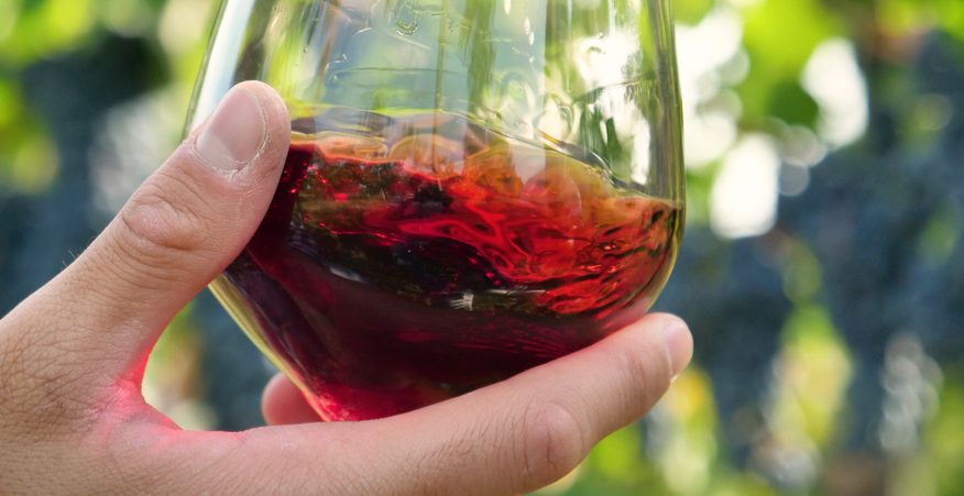 vino biologico italiano