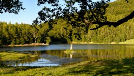 riserva mab appennino tosco emiliano