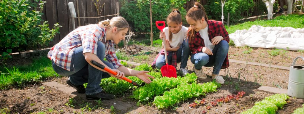 agricoltura sociale emilia romagna