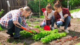 agricoltura sociale emilia romagna