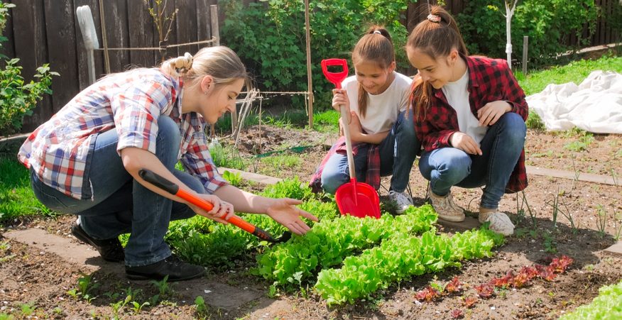 agricoltura sociale emilia romagna