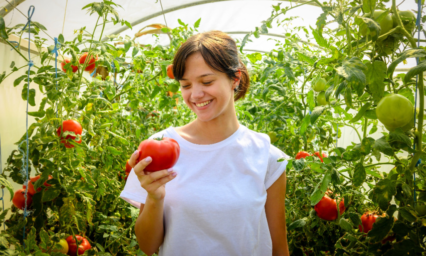 donna guarda verdure coltivate con biotecnologie