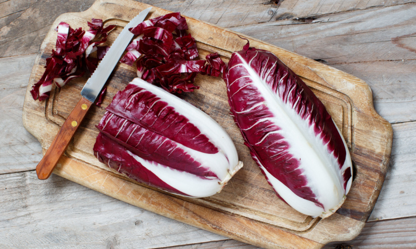 radicchio rosso di treviso igp