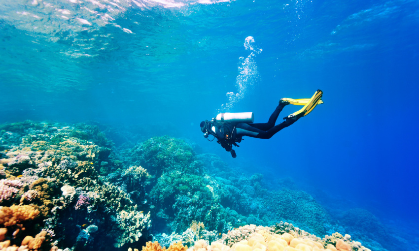 come si conserva il vino in mare