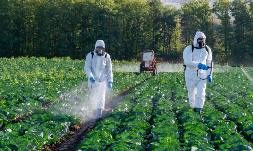 legambiente i pesticidi più diffusi in Italia