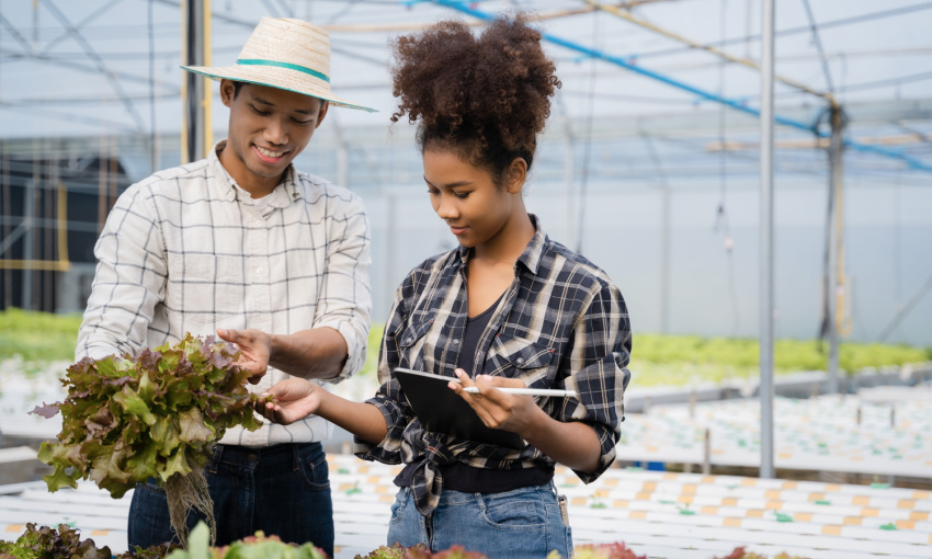 aumentano gli imprenditori stranieri nelle imprese agricole italiane