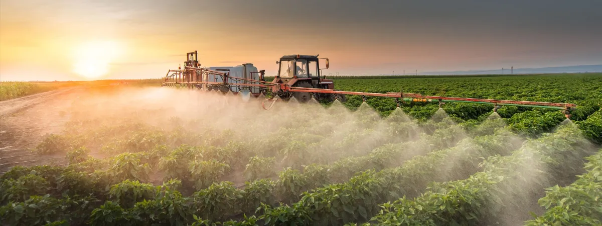 report pesticidi di Legambiente