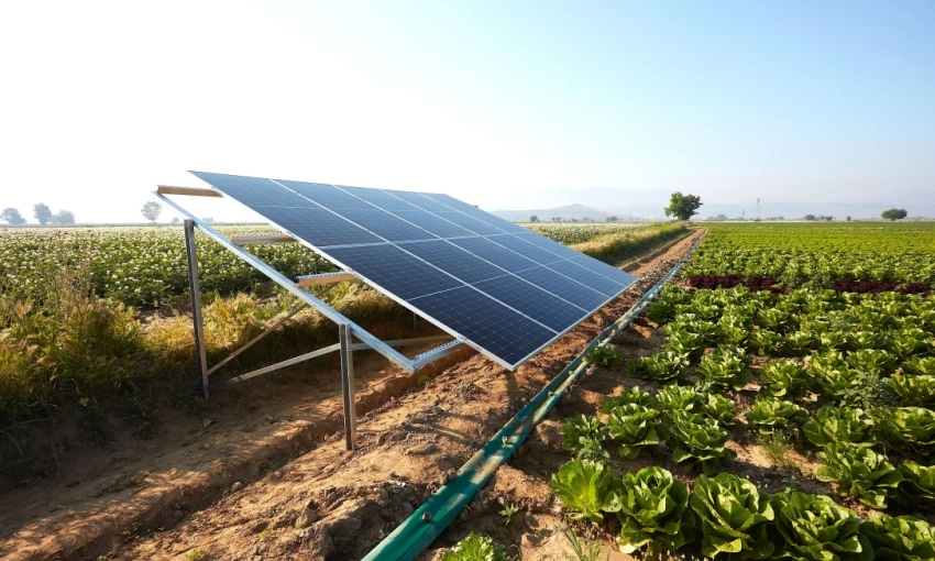 Pannelli fotovoltaici in un terreno agricolo