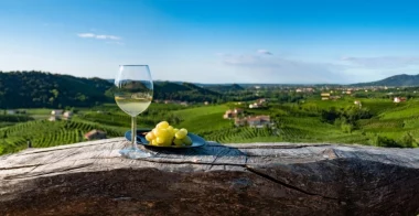 bicchiere di vino bianco, piattino con uva bianca con vista sulle colline
