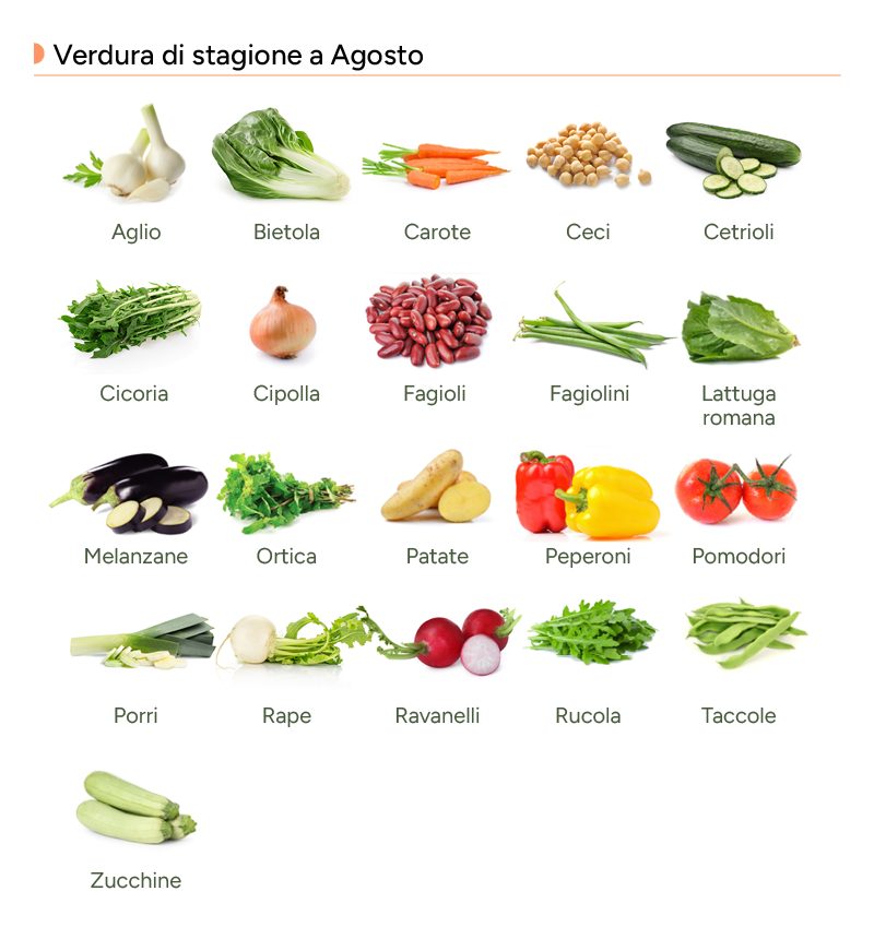 Infografica con le verdure di agosto