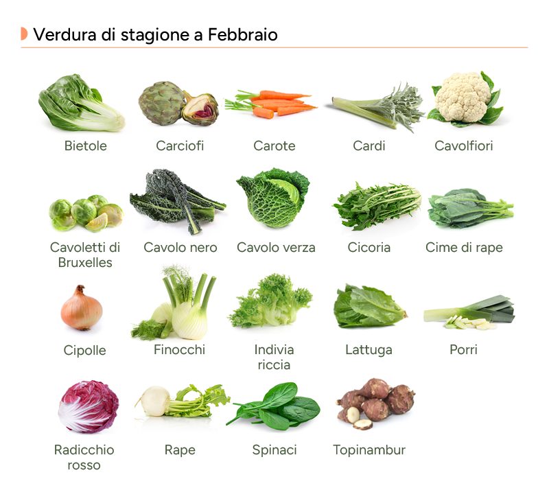 Infografica con le verdure di febbraio