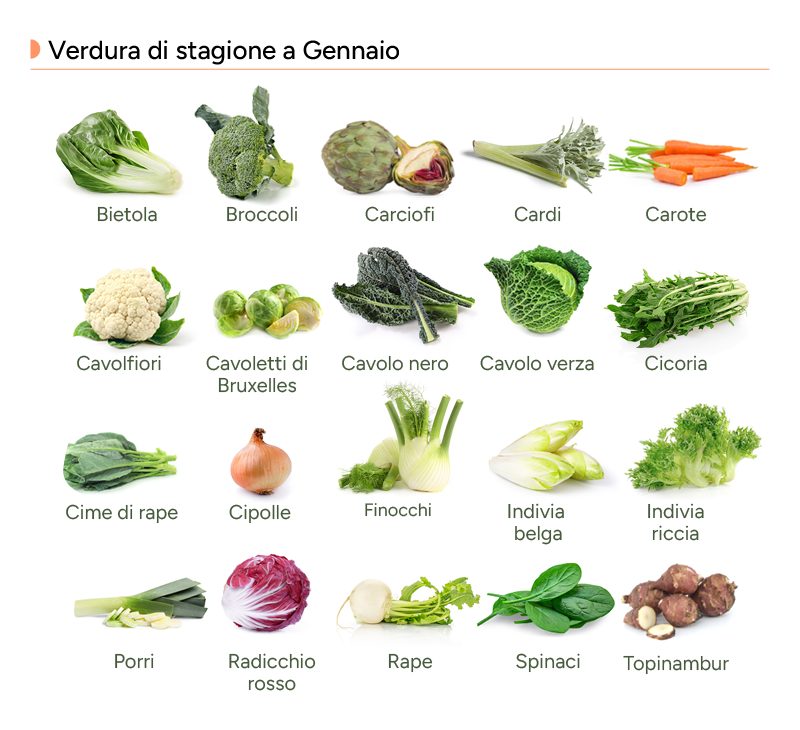 Infografica con le verdure di gennaio