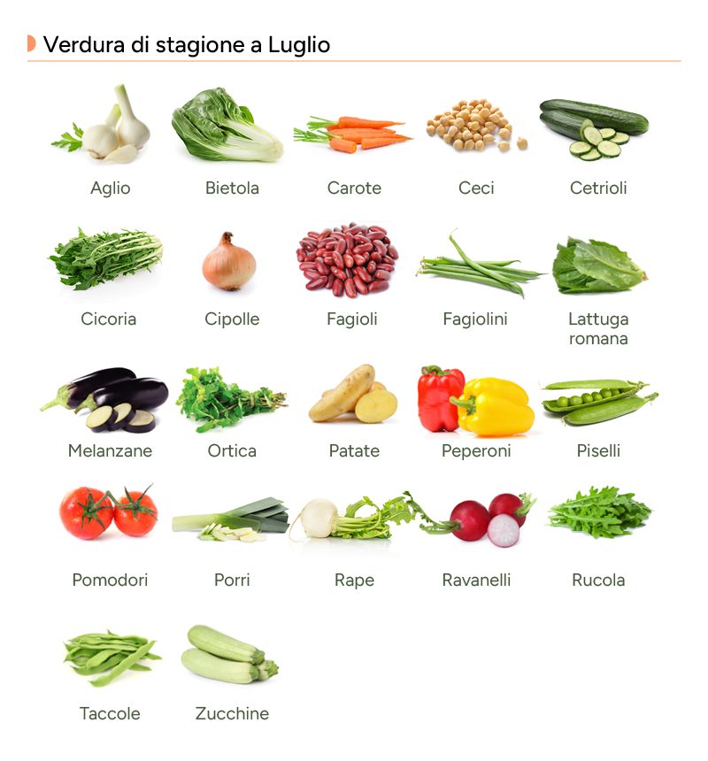 Infografica con le verdure di luglio