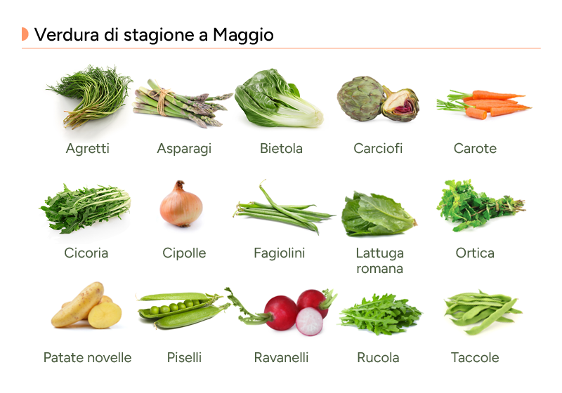 Infografica con le verdure di maggio