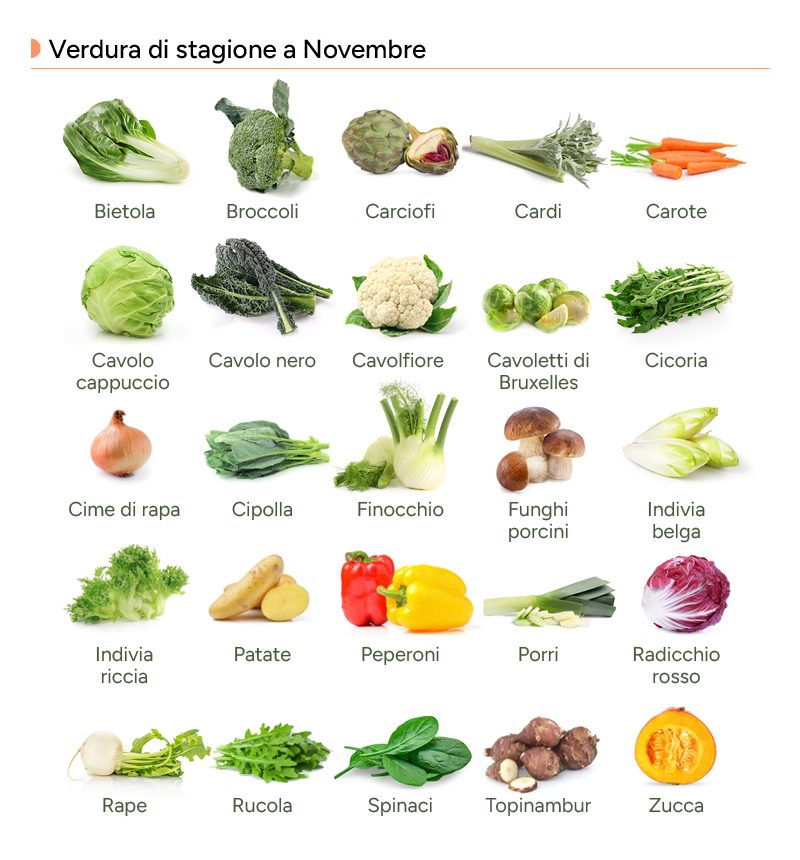 Infografica con le verdure di novembre