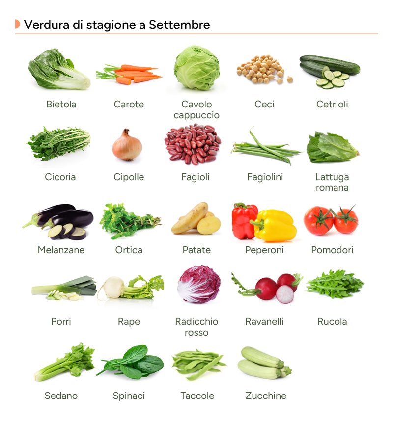 Infografica con le verdure di settembre