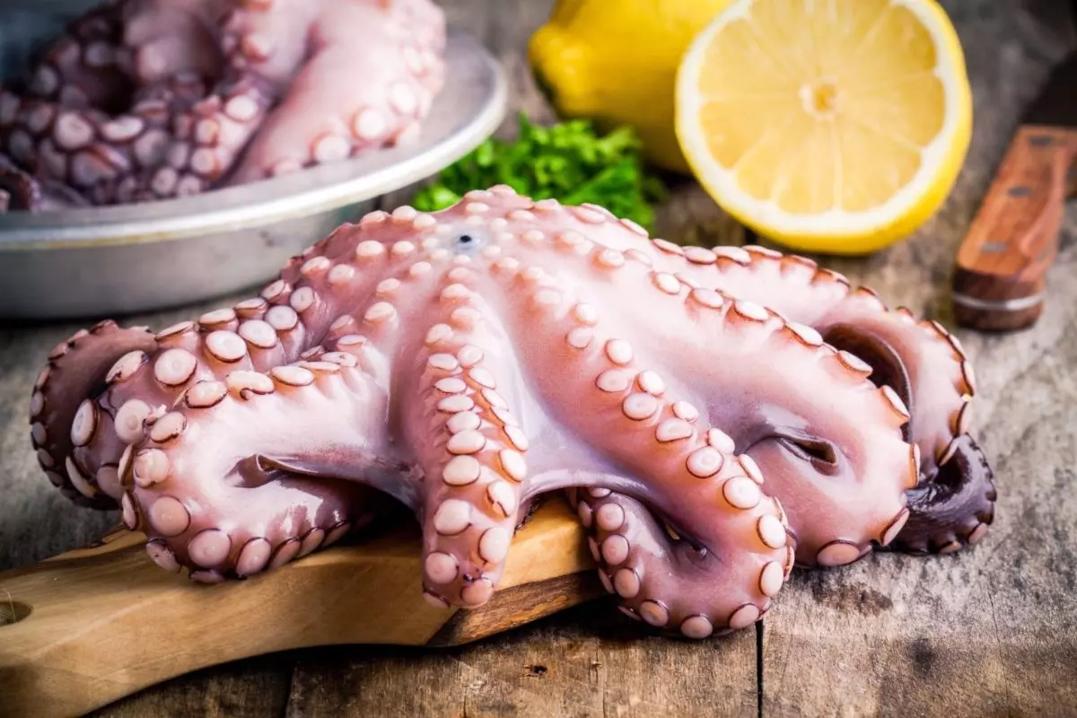 polpo crudo su tagliere