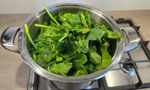 Spinaci in acqua bollente